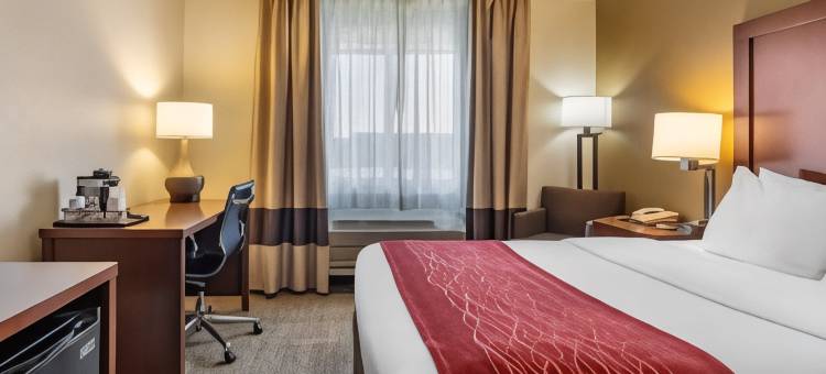 舒适酒店(Comfort Inn)图片