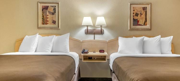 伯奇山套房南本德(Birch Hill Suites - South Bend)图片