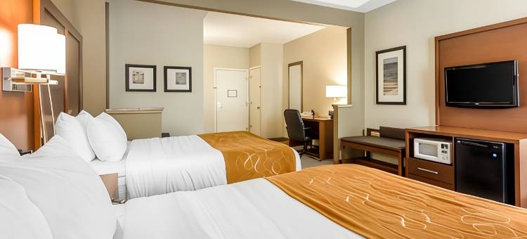 舒适套房酒店-大学(Comfort Suites at the University)图片