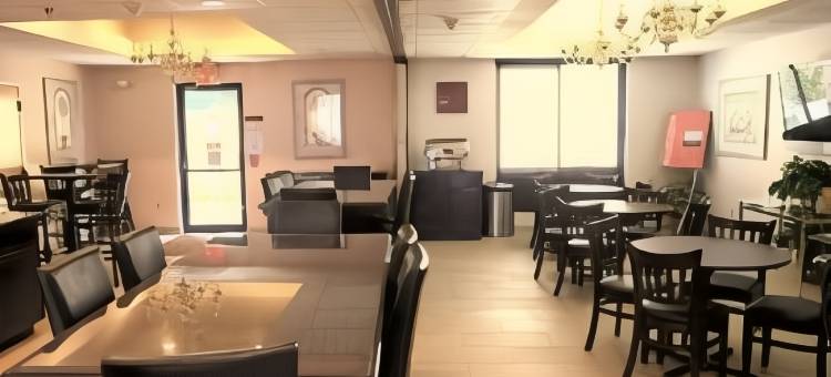 斯帕福德附近舒格兰舒适套房酒店(Comfort Suites Stafford Near Sugarland)图片