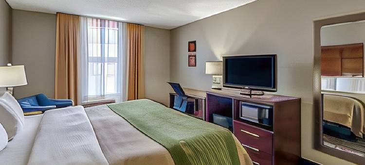 舒适套房酒店(Comfort Inn & Suites)图片