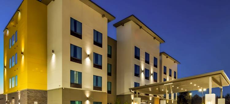 休斯顿 I-45 北 - IAH 舒适套房酒店(Comfort Inn & Suites Houston I-45 North - IAH)图片