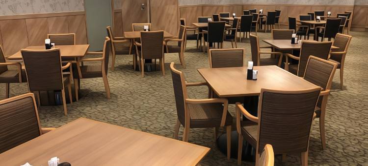 神户三宫光辉酒店(Kobe Luminous Hotel Sannomiya)图片