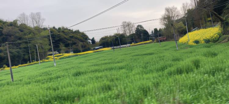 竹里崇州梵谷源复古三层楼别墅带机麻(白塔湖大道分店)图片