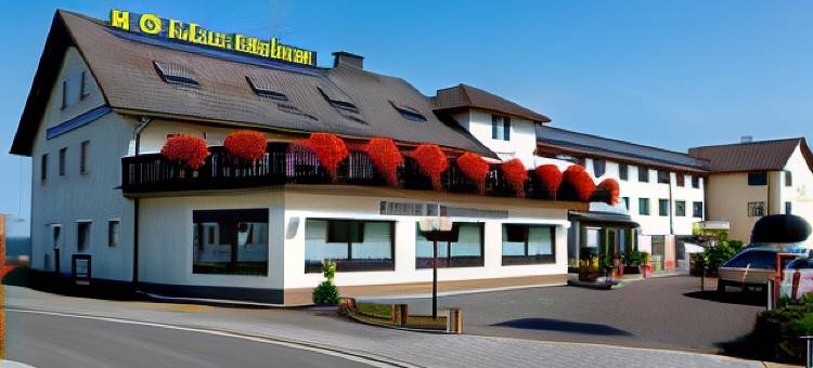 弗杜那机场酒店(Airport-Hotel Fortuna)图片