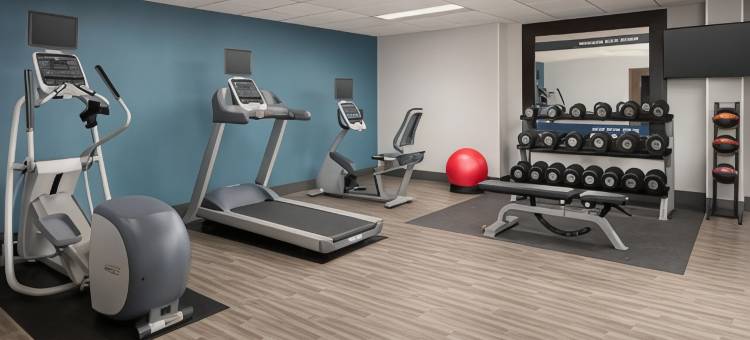 阿尔普哈雷塔欢朋套房酒店(Hampton Inn & Suites Alpharetta)图片