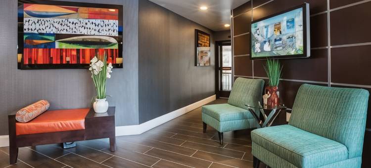 南帕洛阿尔托山景智选假日酒店(Holiday Inn Express Mountain View - S Palo Alto)图片