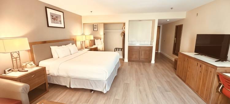 加登格罗夫-阿纳海姆南华美达广场酒店(Ramada Plaza by Wyndham Garden Grove/Anaheim South)图片