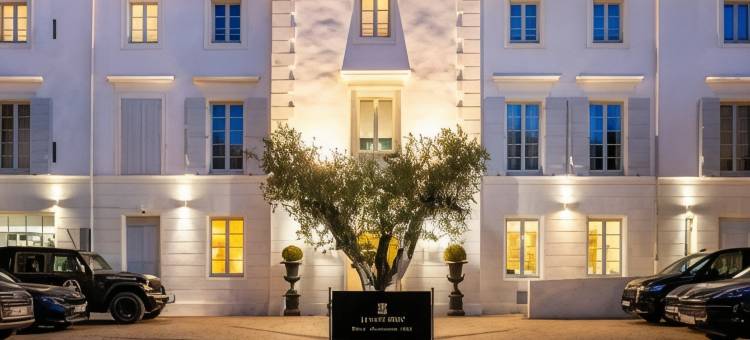 圣雷米饭店(Hôtel le Saint Remy & Spa)图片