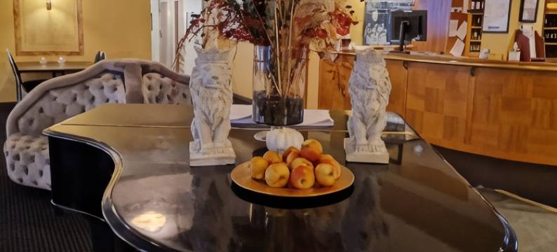 斯塔特第一酒店(First Hotel Statt Örnsköldsvik)图片