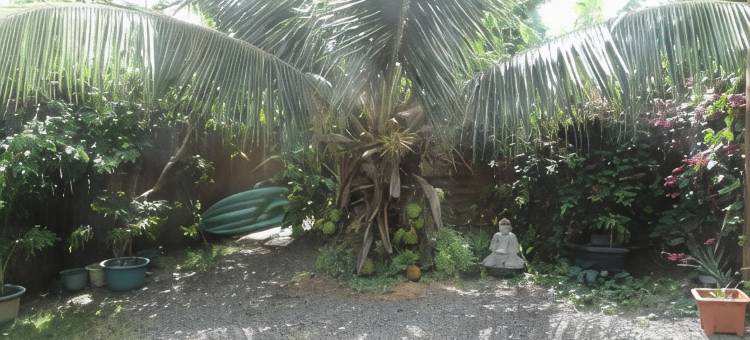 Douceur Tropicale Proximité Plage et Commerces图片