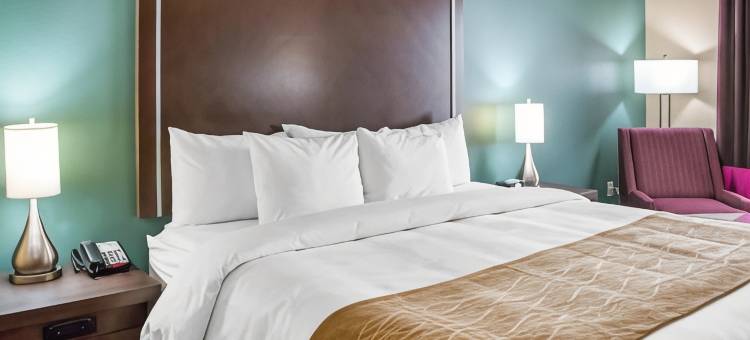 舒适酒店及套房(Comfort Inn & Suites San Marcos)图片