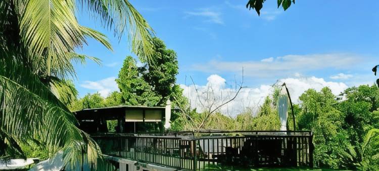 莫阿尔博阿皮格潜水青年旅馆(Pig Dive Hostel Moalboal)图片