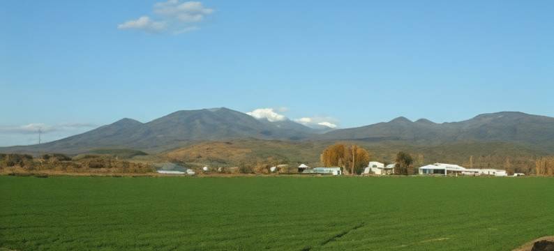 秋叶民宿(Minshuku Akiba)图片