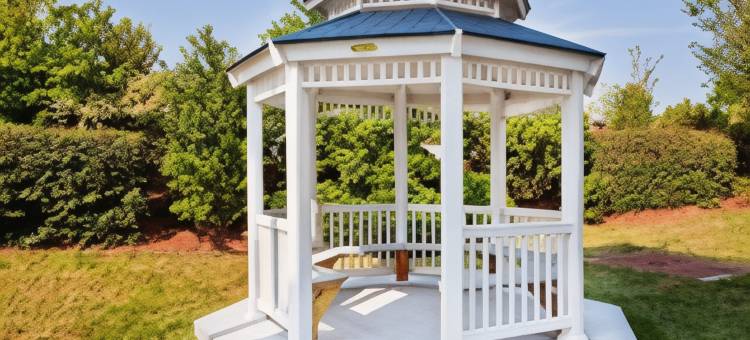 智选假日套房酒店夏洛特康和I - 85(Holiday Inn Express & Suites Charlotte-Concord-I-85)图片