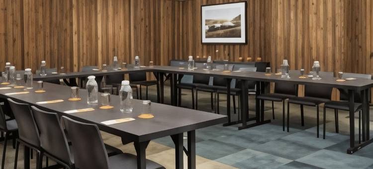 伊萨卡市中心希尔顿嘉悦里酒店(Canopy by Hilton Ithaca Downtown)图片