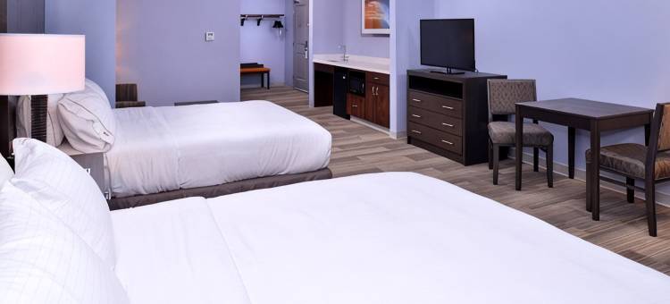 罗马琳达智选假日套房酒店(Holiday Inn Express & Suites Loma Linda- San Bernardino S)图片