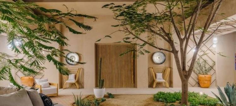 Kimpton Mas Olas Resort and Spa(Kimpton Mas Olas Resort and Spa)图片