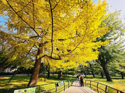 베이징 다수 관광지 비수기 운영 시간 조정