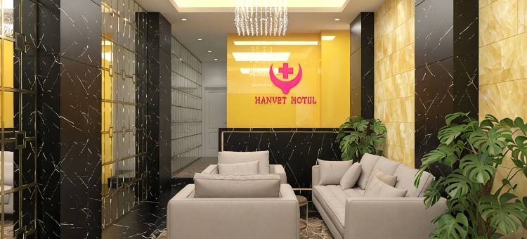 河内汉威酒店(Hanoi Hanvet Hotel)图片