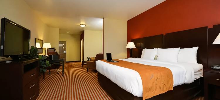 舒适套房酒店(Comfort Suites Bay City)图片