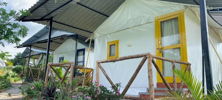 荒野丛林营地(Wilderness Jungle Camp)图片