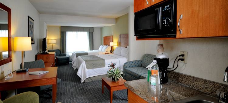 托卢卡佐纳埃洛普尔托智选假日酒店及套房(Holiday Inn Express & Suites TOLUCA ZONA AEROPUERTO by IHG)图片