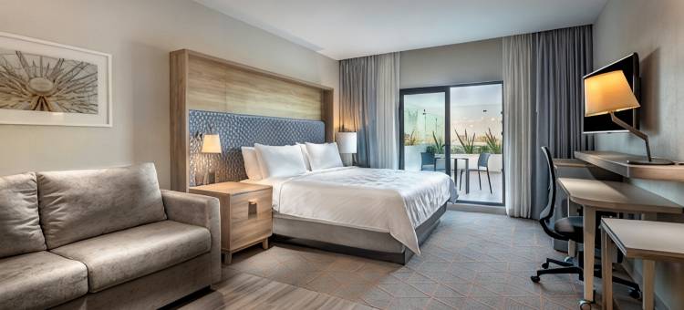阿瓜斯卡连特斯假日酒店及套房(Holiday Inn & Suites AGUASCALIENTES by IHG)图片