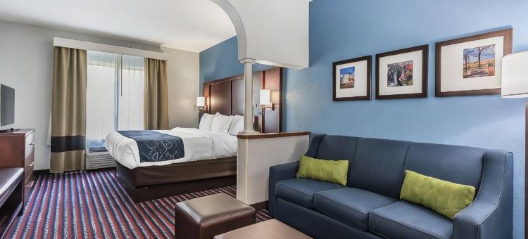 圣查尔斯舒适套房酒店-圣路易斯(Comfort Suites St Charles-St Louis)图片