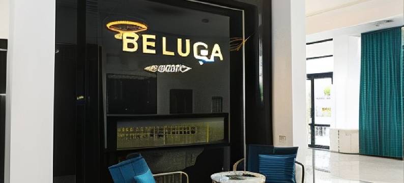 Beluga Hotel图片