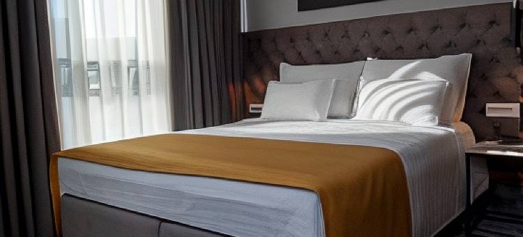 H41 豪华套房酒店(H41 Luxury Suites)图片