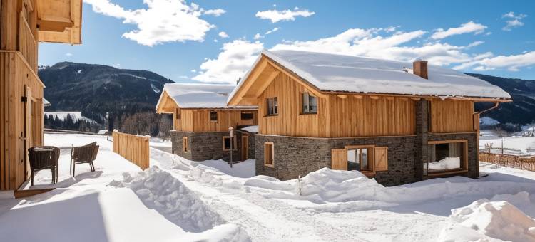 利尔普因特古特(Lerchpeuntgut Almchalets)图片