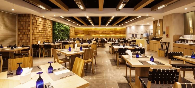 济州索诺美丽酒店(Sono Belle Jeju)图片