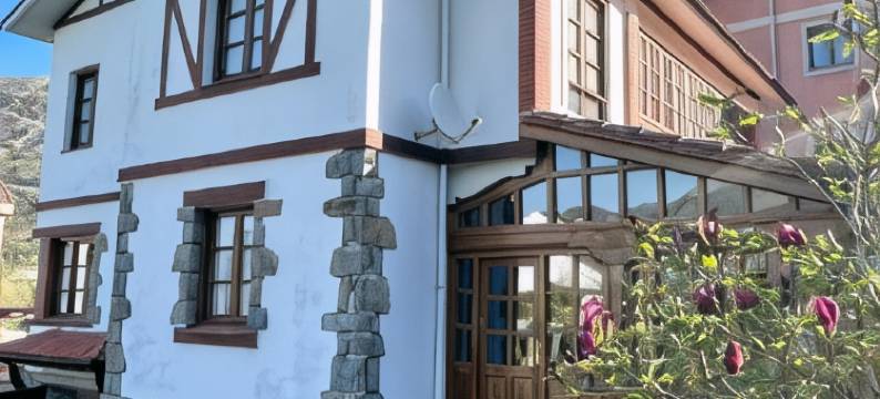 埃莱娜乡村别墅酒店(Hotel Rural Villa Elena)图片