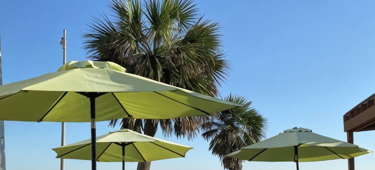 蔚景温德姆加尔维斯顿海堤海滨酒店(Wingate by Wyndham Galveston Beachfront at Seawall)图片