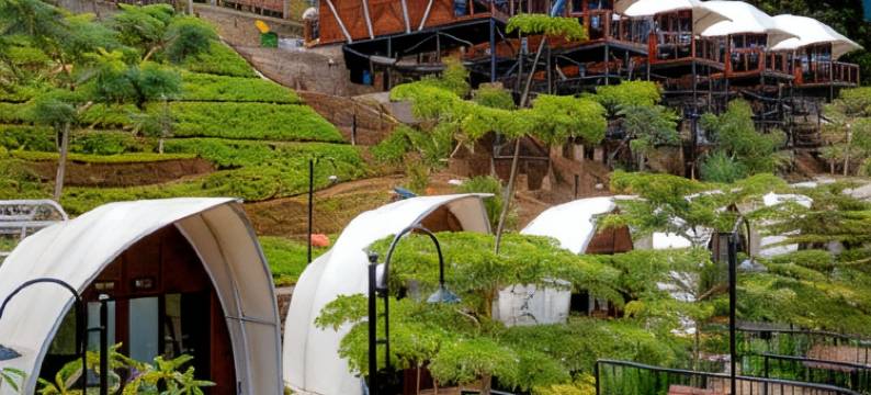 Glamping at Taman Wisata Alam Sevillage Puncak图片