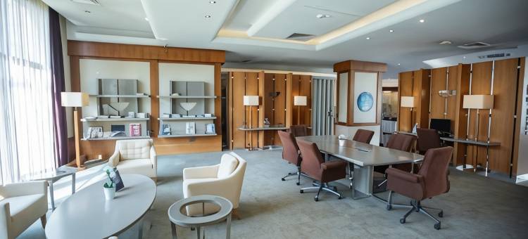 阿奈蒙马尼萨酒店(Anemon Grand Manisa Otel)图片