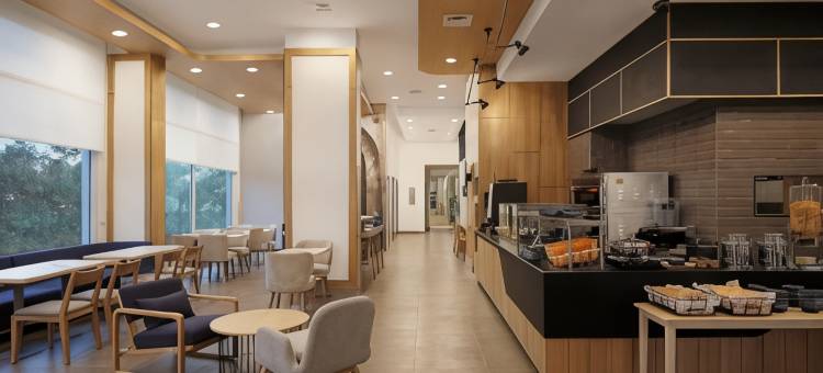 辛杰瓦迪浦那智选假日酒店(Holiday Inn Express Pune Hinjewadi)图片