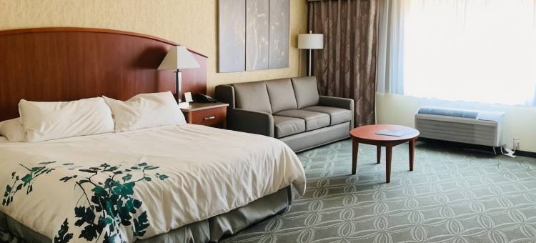 埃尔金斯蔚景温德姆酒店(Wingate by Wyndham Elkins)图片