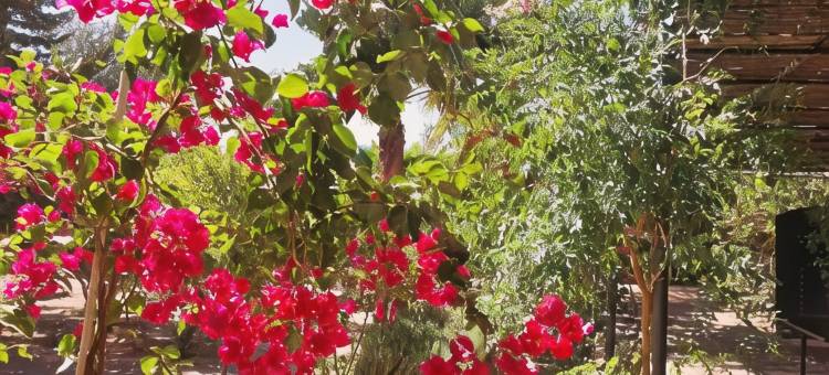 巴叟宿舍(Auberge Bassou)图片