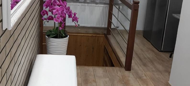 Agroturystyka Żubrówka图片