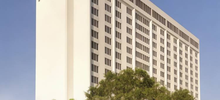 圣彼得堡海湾希尔顿酒店(Hilton St. Petersburg Bayfront)图片