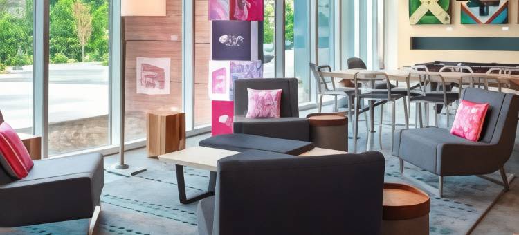 罗利-达勒姆机场布里尔溪雅乐轩酒店(Aloft Raleigh-Durham Airport Brier Creek)图片