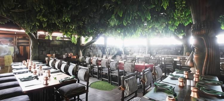 排远景酒店(Hotel Pai Vista)图片