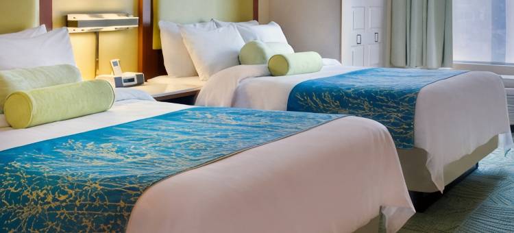 锡拉丘兹卡里尔环岛万豪SpringHill酒店(SpringHill Suites Syracuse Carrier Circle)图片