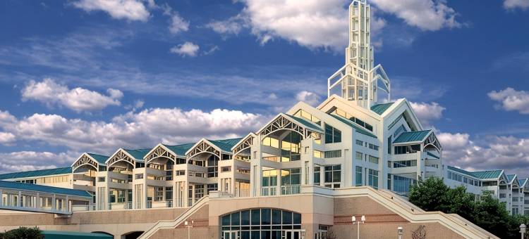 莫比尔达芙妮/东岸万枫酒店及套房(Fairfield Inn & Suites Mobile Daphne/Eastern Shore)图片