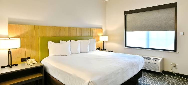 纽约莫里斯山丽怡酒店(Country Inn & Suites by Radisson, Mount Morris, NY)图片