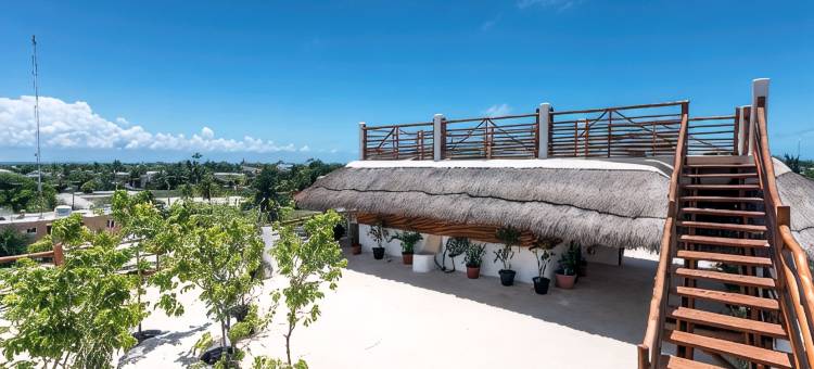 MIJ热带套房(La Palma Holbox)图片