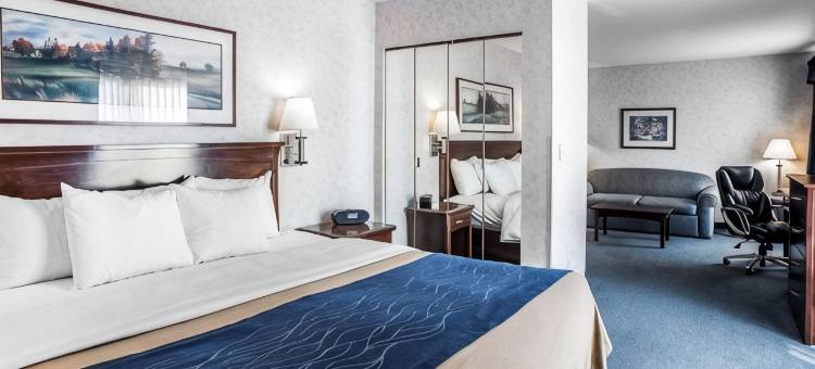 贝灵厄姆舒适酒店(Comfort Inn Bellingham)图片