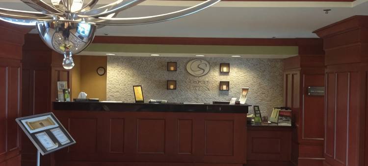 曼纳萨斯战场公园舒适套房酒店(Comfort Suites Manassas Battlefield Park)图片